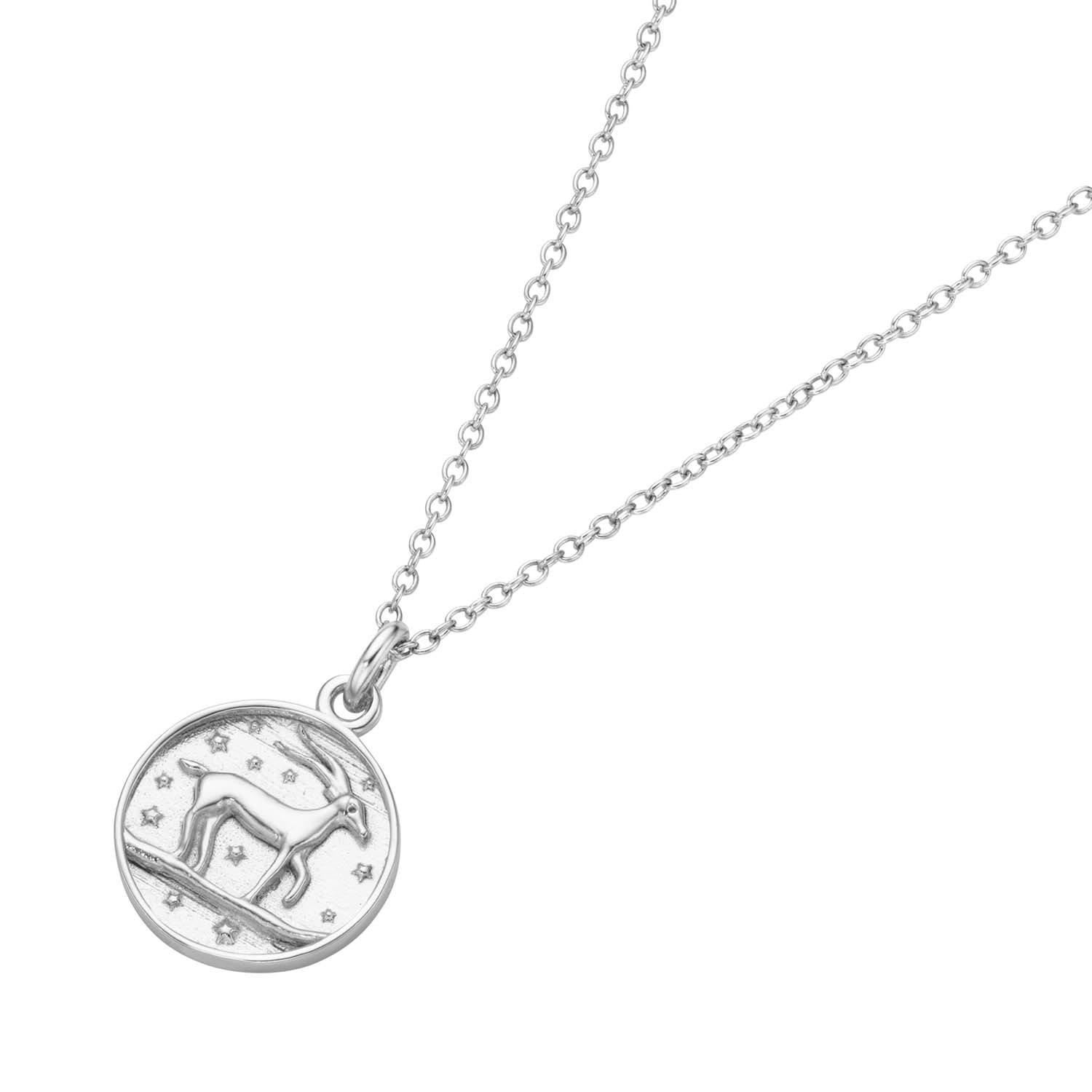 Silver D-Line Kette mit Sternzeichen Steinbock Sterlingsilber